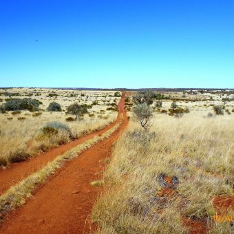 6_outback