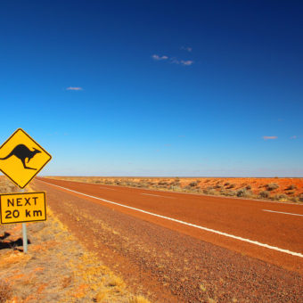 Kangaroos crossing.