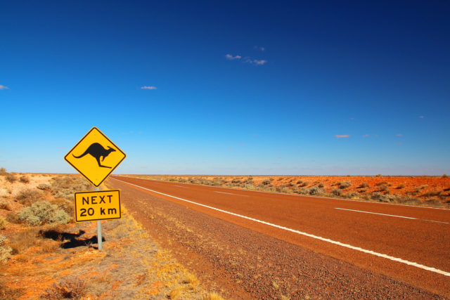 Kangaroos crossing.