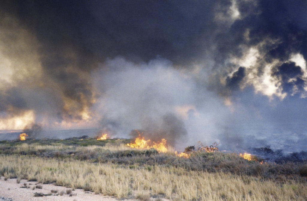 Bush fire