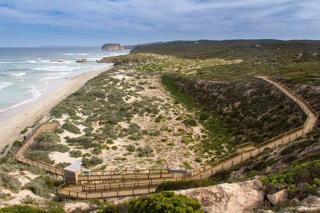 Seal Bay