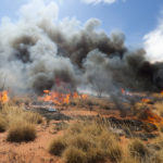 Firestick burning in outback Central Australia